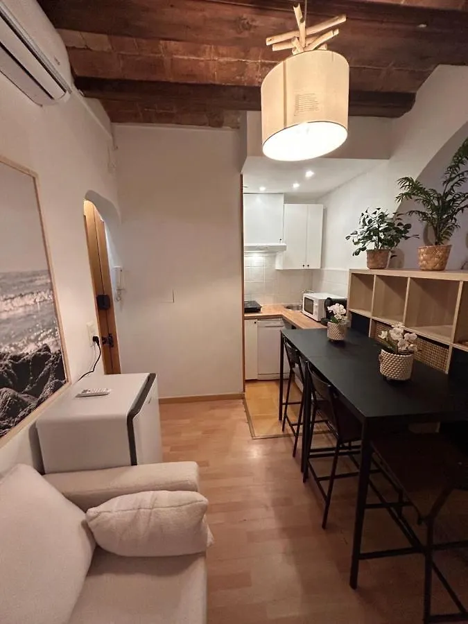 Hgc Barcelona Appartement Spanje
