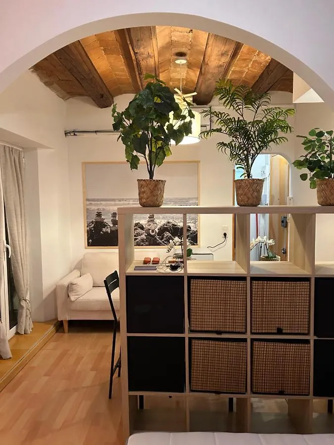 Hgc Barcelona Apartment 0*,