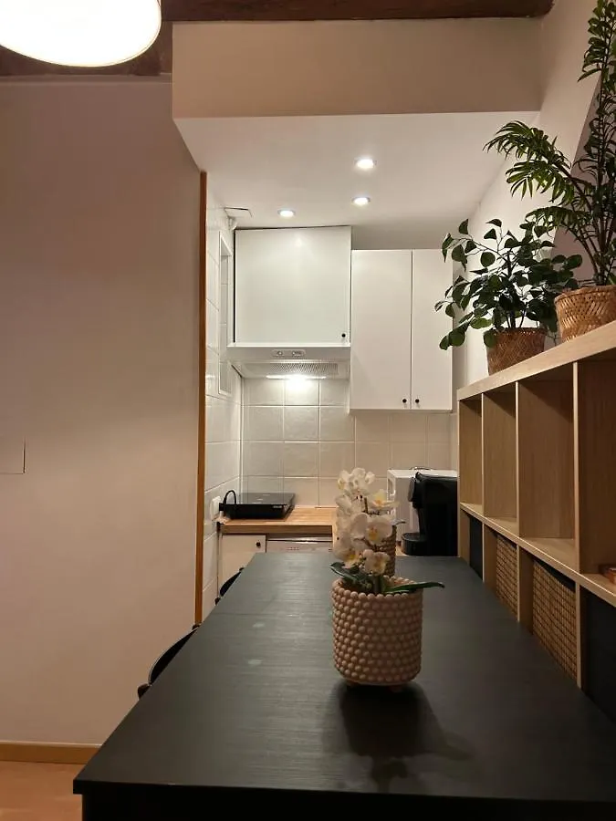 Hgc Barcelona Apartment